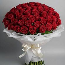Букет 101 Красная роза Блэк Мэджик в Новоселки
