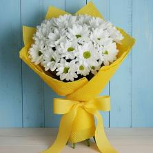Букет цветов из:  Хризантемы в Новоселки