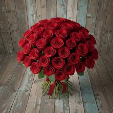 Букет 55 Красных роз Фридом #REPLACE_PRED# Новоселки