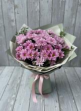 Букет цветов из:  Хризантемы #REPLACE_PRED# Новоселки