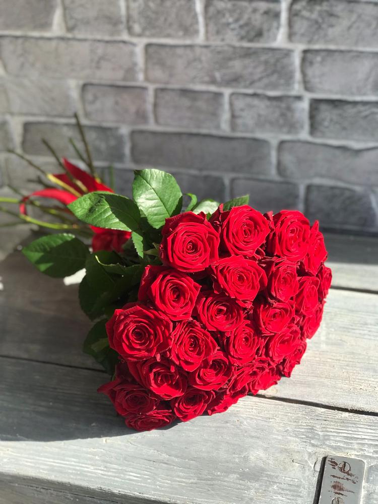 Букет Красные розы Фридом в Новоселки