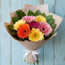 Букет цветов из:  Герберы в Новоселки