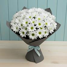 Букет цветов из:  Хризантемы в Новоселки