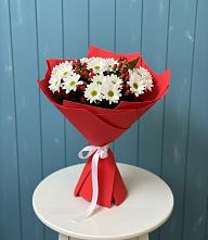 Букет цветов из:  Хризантемы #REPLACE_PRED# Новоселки