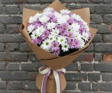 Букет цветов из:  Хризантемы в Новоселки