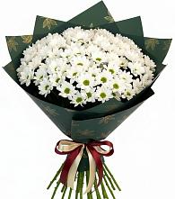 Букет цветов из:  Хризантемы в Новоселки