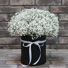 Цветочная композиция из Гипсофила в шляпной коробке в Новоселки