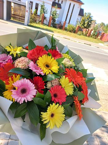 Букет цветов из: Герберы в Новоселки