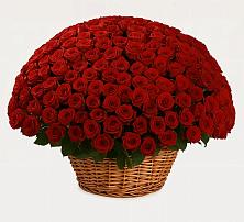 Премиум букет из: Розы в Новоселки