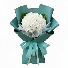 Букет цветов из:  Гортензия в Новоселки